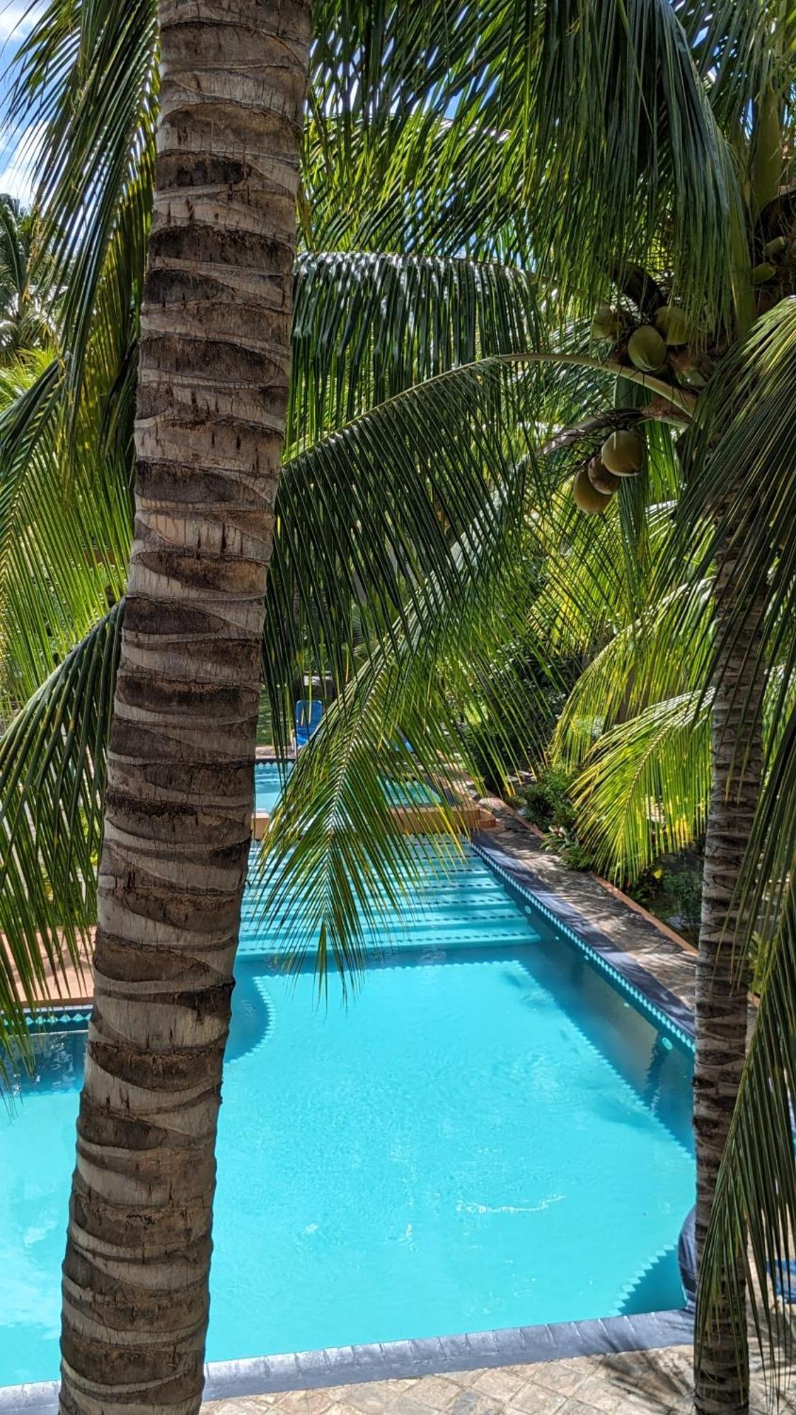 Charming Apartment Close To Beach & Amenities - Appartement De Charme Proche Plage Flic en Flac Экстерьер фото